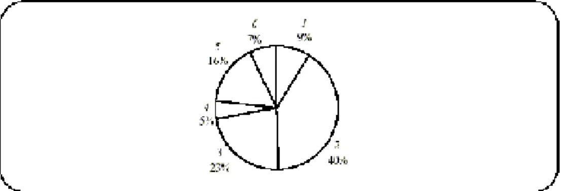 Figure 2.2.   Codage de l’information 