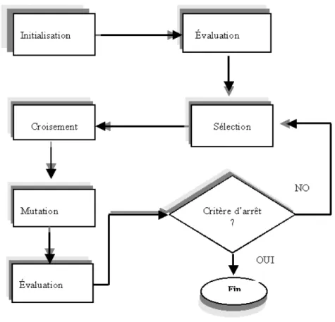 Figure 2.6.   Structure générale d’un algorithme génétique. 