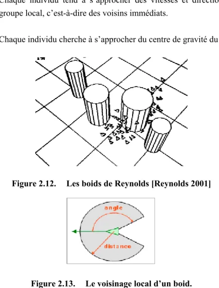 Figure 2.12.   Les boids de Reynolds [Reynolds 2001] 