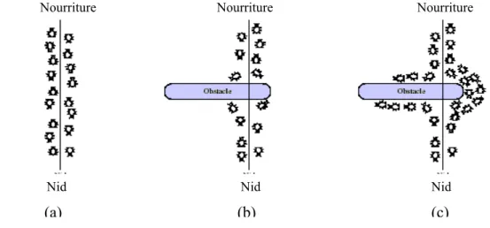 Figure 3.6.   Effet de dépôt d’un obstacle entre la source de nourriture et le nid  3.4.3  Modèles de fourragement pour la résolution des problèmes d‘optimisation  