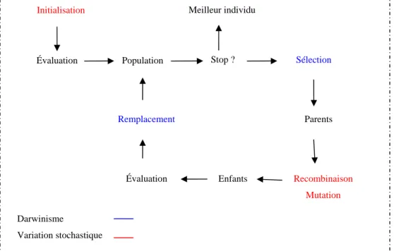 Figure 1. 4- Notions de base de l’algorithmique évolutionnaire 