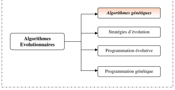 Figure 1. 5- Différentes branches des algorithmes évolutionnaires 