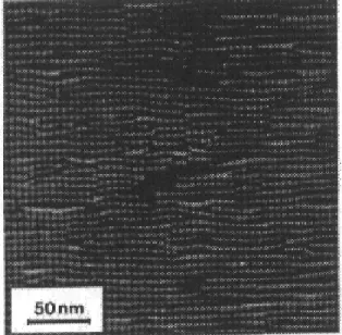 Figure I.4. Image M.E.T de 5 ML d’InAs. Les dislocations de misfit 90° sont représentées en lignes blanches