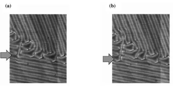 Figure I.9. Formation d’un réseau de boucles de dislocations pour une plus forte dose de sulfure, (c)  diagramme montrant la décoration des dislocations partielles triaxiales par les atomes de sulfures, (d) Image 