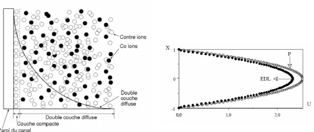 Figure 1.6. Schémas de la Double Couche Electrique et ses effets, [18, 19]. 
