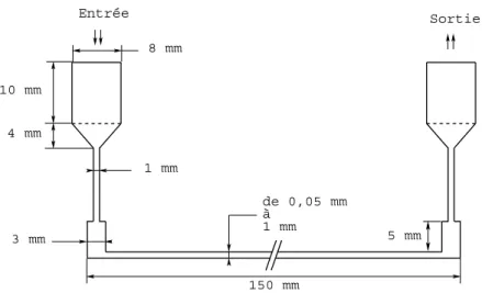 Figure 3.1. Détails du minicanal. 