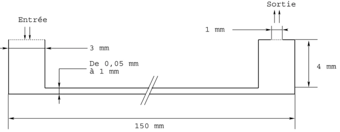 Figure 3.4. Configuration simplifiée du minicanal. 