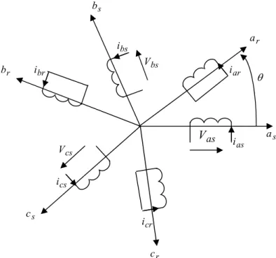 Figure 2.2. Représentation schématique d’une MAS triphasée 
