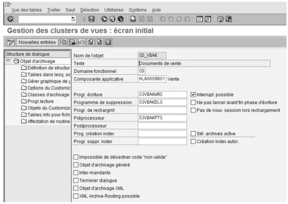 Figure 9 : Copie d’écran d’un objet d’archivage (transaction AOBJ) 