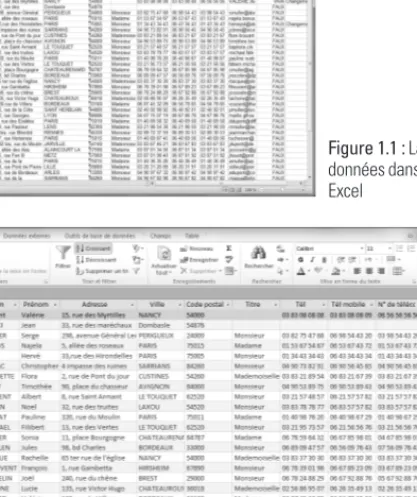 Figure 1.1 : La présentation de données dans une feuille de calcul Excel