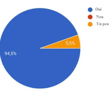 Figure n° 10 : L'intérêt accordé au football. 