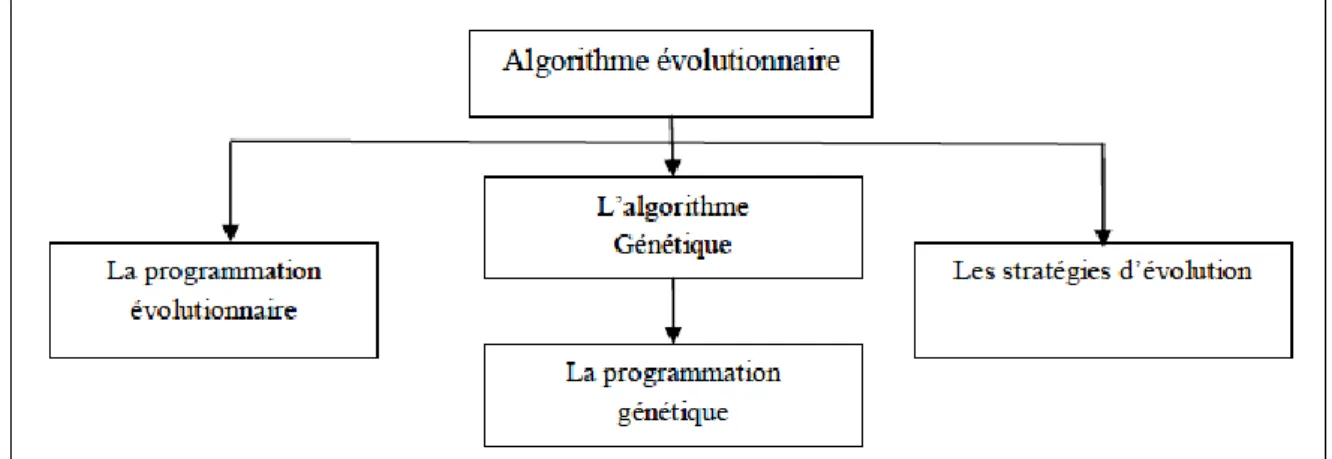 Figure 5: Les types des algorithmes évolutionnaires. 