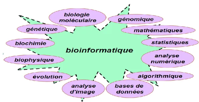 Figure 20: La bioinformatique et les autres domaines. 