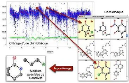 Figure 1.4 : Criblage à haut débit.[41] 