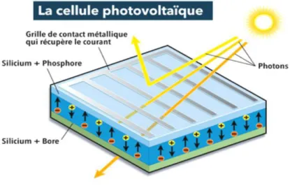 Figure 2. La cellule solaire 