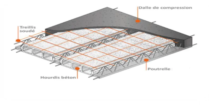 Figure II.2 : Plancher à corps creux. 