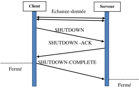Figure 1.14:Fermeture normale d‟une association SCTP. 