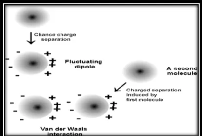Figure III.2. Forces de van der Waals[40]. 