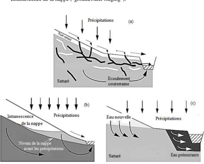 Figure 3 : mécanismes de formation de l’écoulement de subsurface  (a) Ecoulements macropores, (b) Effet piston, (c) Intumescence de la nappe 