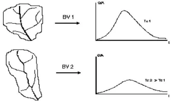 Figure 7 : Influence de la forme du bassin versant sur l'hydrogramme des crues. 