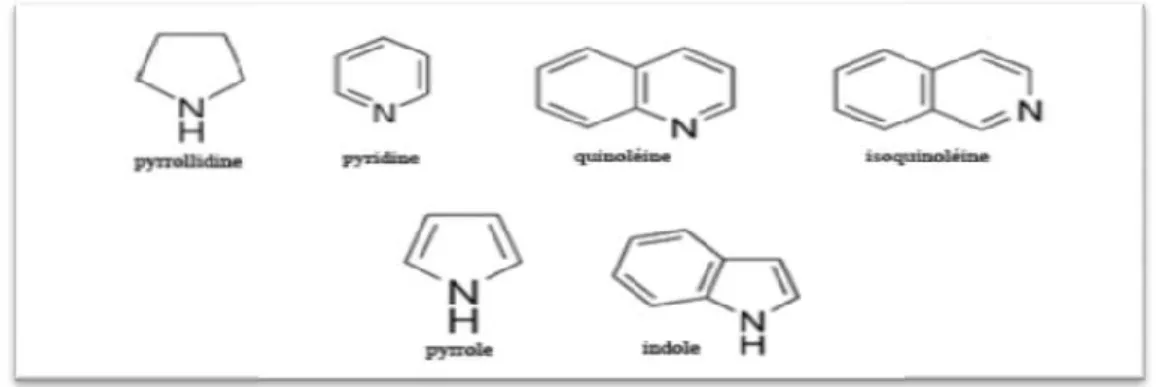 Figure 04 : Structure de la moléculed’isoprène (