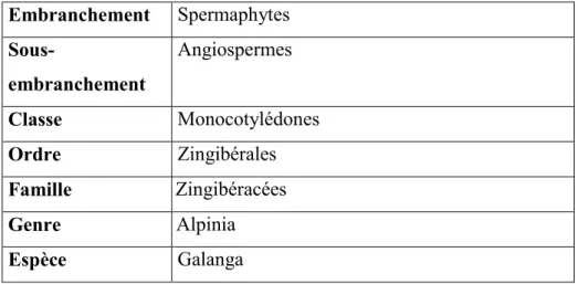 Tableau 01 : classification systématique d’Alpinia galanga  (JUDD et al.,2002). 