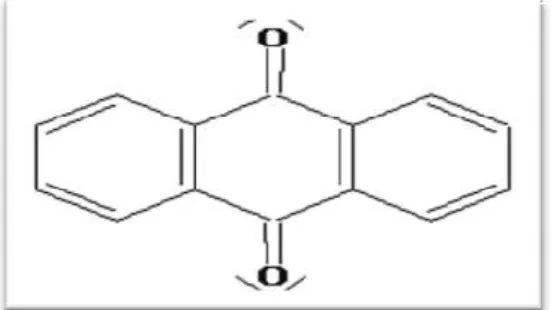Figure 08 : Structure moléculaire d’un colorant nitré 2.2.Classification tinctoriale