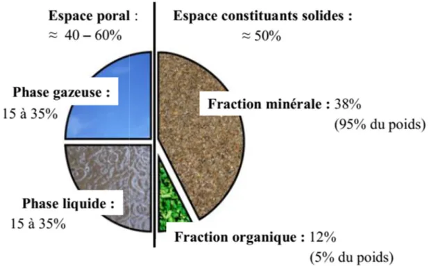 Figure 02 : Volume (%) des constituants solides du sol (fraction minérale et organique) et de l’espace por