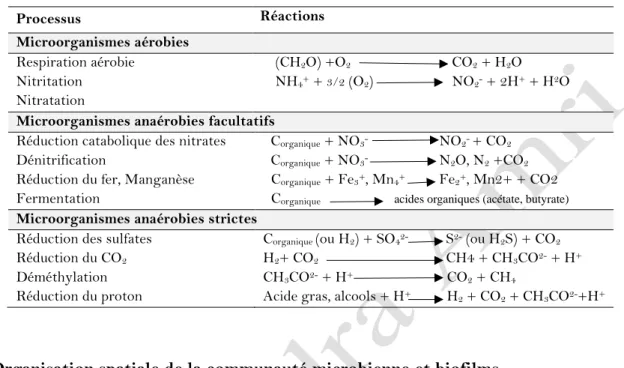 Tableau 01 : Biotransformation des microorganismes du sol (Prescott et al., 2003). 