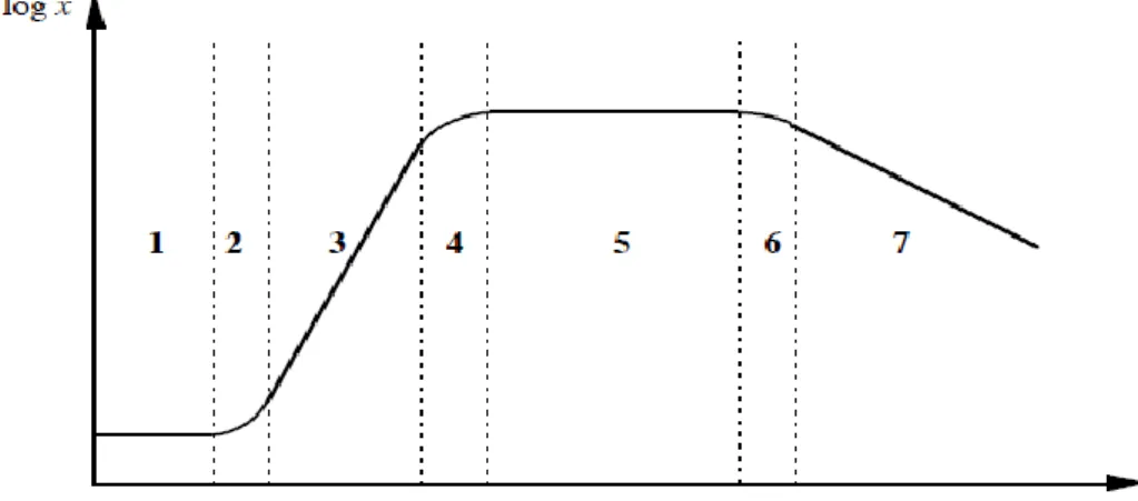 Figure 05 : Courbe de croissance bactérienne et ses différentes phases (Buchanan, 1918)