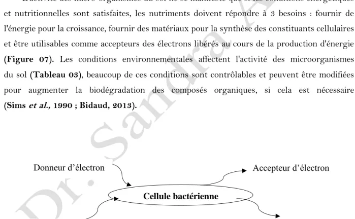 Figure 07 : Schéma général de l’activité microbienne (Bidaud, 1998). 