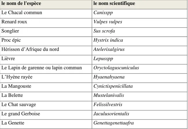 Tableau  (4) :  Les  espèces  faunistiques  observées  dans  le  barrage  de  Beni  Haroun