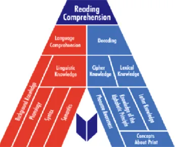 Figure 1: “The Simple View of Reading Figure 1: A Conceptualization”. Adopted  from: Wesley, Hoover, and Gough (2000, p