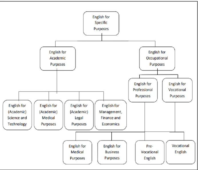 Figure 1.1. Classification of ESP types (Dudley-Evans &amp; St John, 1998: 6)