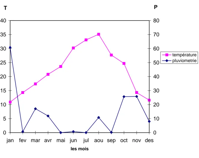 Fig. 1.4 : Diagramme ombrothermique (Bagnouls et Gaussen) de la région  de Djamaa  2004 