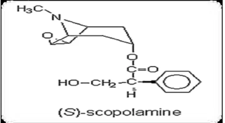 Figure 13: Structure chimique de la scopolamine