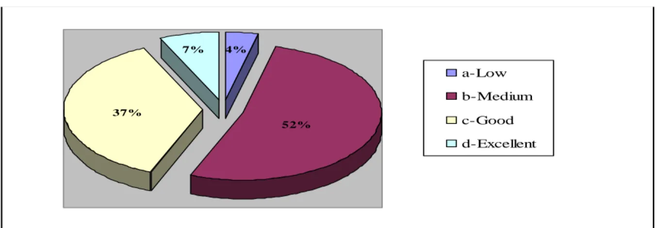 Figure 10: Students’ level in English 