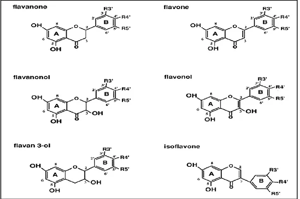 Figure 12: Squelette de base des flavonoïdes (Erlund, 2004). 