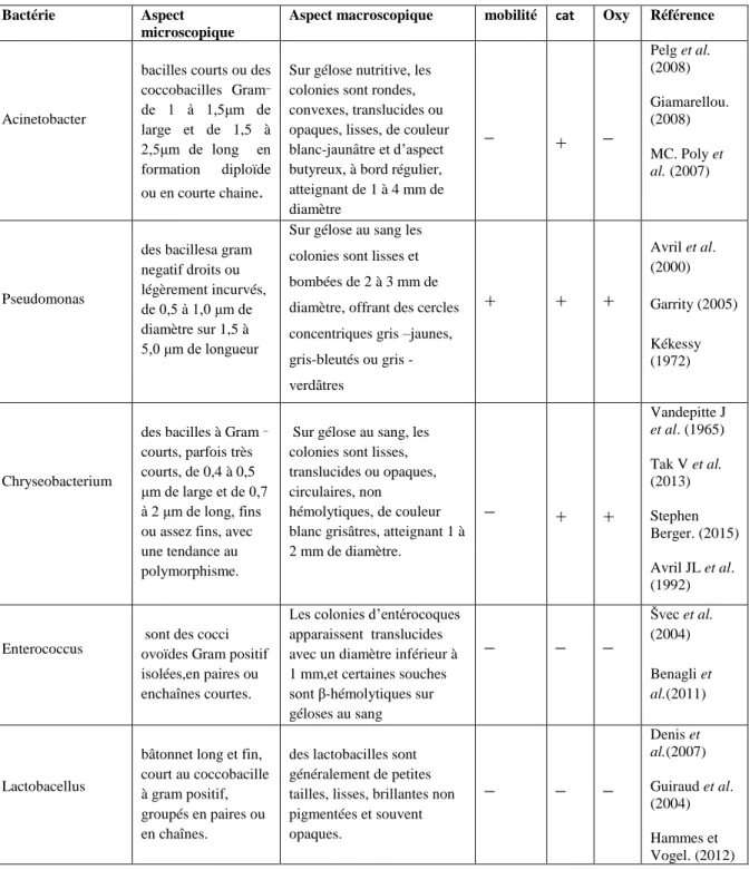 Tableau 6 :Caractérisation macroscopique et microscopique et biochimique des  psychrotrophes isolées  du lait