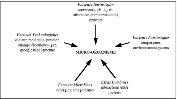 Figure  7.  Nature  des  facteurs  environnementaux  agissant  sur  le  comportement  des  microorganismes dans les aliments (Mossel et Ingram 1955 ; Mossel 1983)