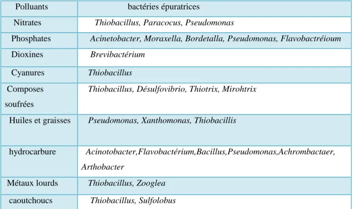 Tableau 2: quelques correspondances entre polluants et bactéries épuratrices     Polluants                       bactéries épuratrices 
