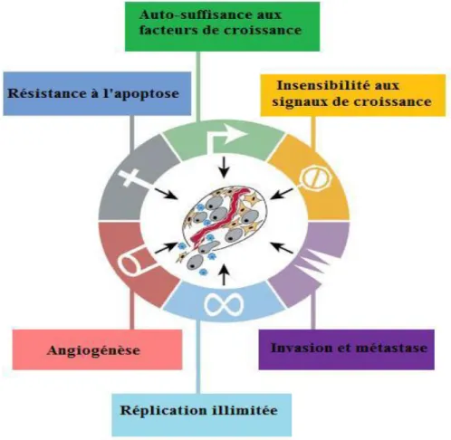 Figure 1 : Les six caractéristiques d’un cancer (Hanahan &amp; Weinberg,  2000) 