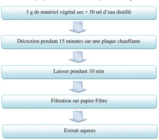 Figure 12: Protocole de préparation de l'extrait aqueux de Camellia sinensis L. 