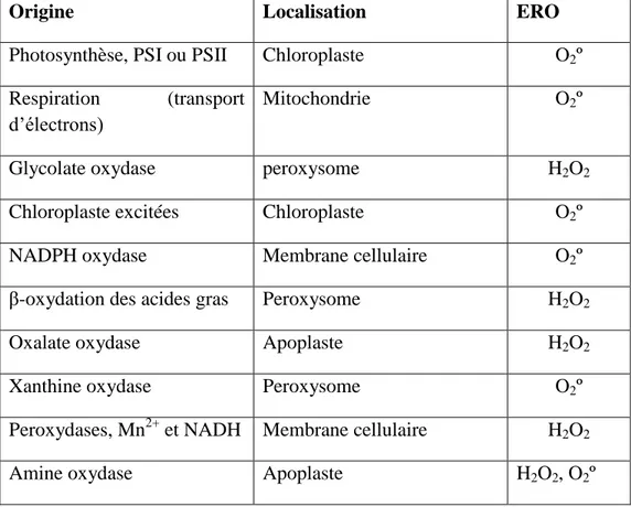 Tableau 5:   Origines et localisations des espèces réactives de l’oxygène (Smirnoff, 2005)