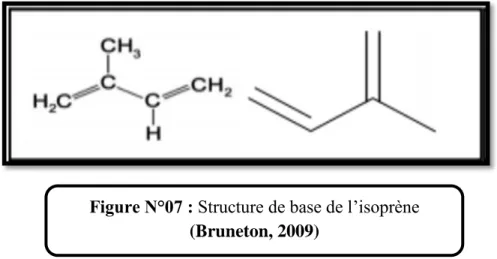 Figure N°07 : Structure de base de l’isoprène  (Bruneton, 2009) 