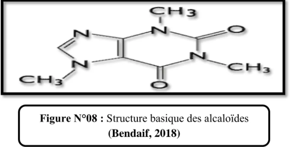 Figure N°08 : Structure basique des alcaloïdes  (Bendaif, 2018) 