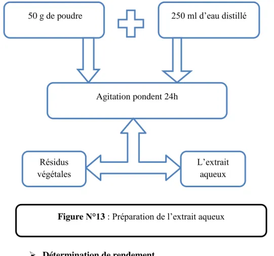 Figure N°13 : Préparation de l’extrait aqueux 