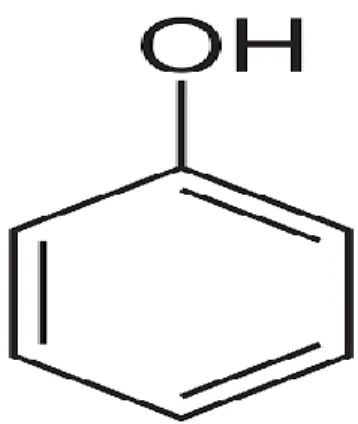 Figure 5: Structure chimique du phénol (Sobiesiak, 2017). 
