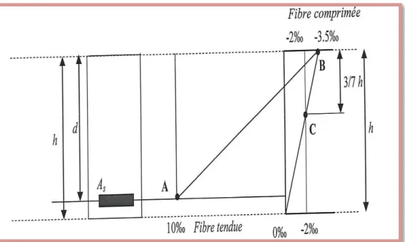 Figure 7 : Diagramme des déformations limites de la section. 