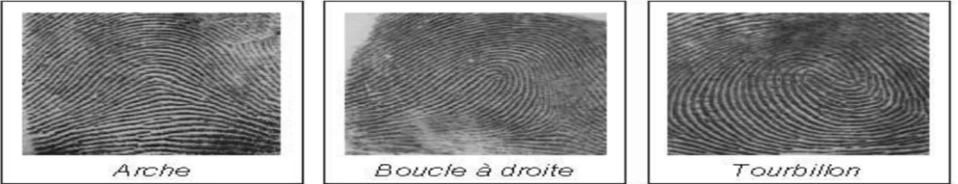 Figure I.3 : l’empreinte digitale 